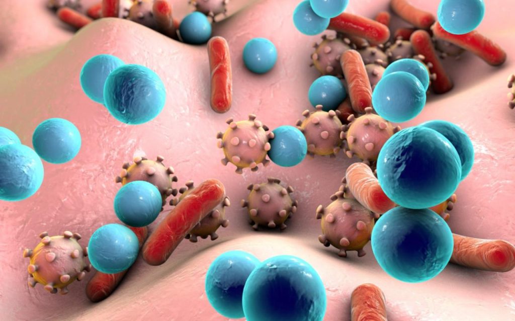 Learn about the bacteria that live in your dog’s body!