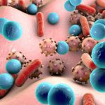 Learn about the bacteria that live in your dog’s body!