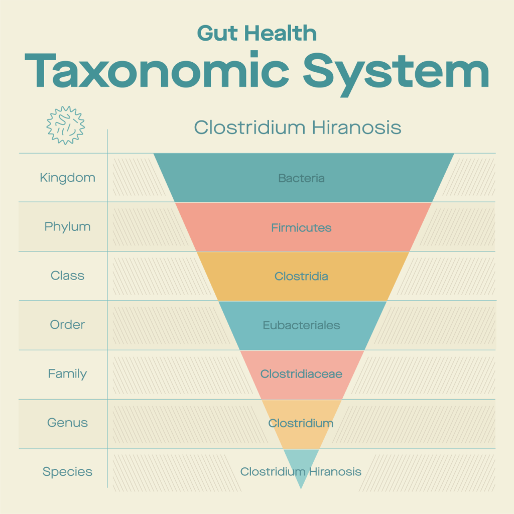 What’s in the name? Classification systems and how we classify bacteria