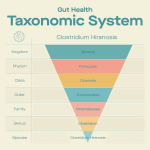 What’s in the name? Classification systems and how we classify bacteria