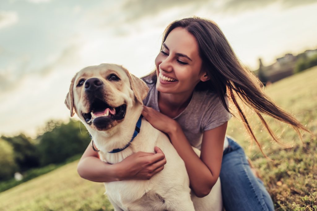 Learn about your dog’s health and how fresh food can support it
