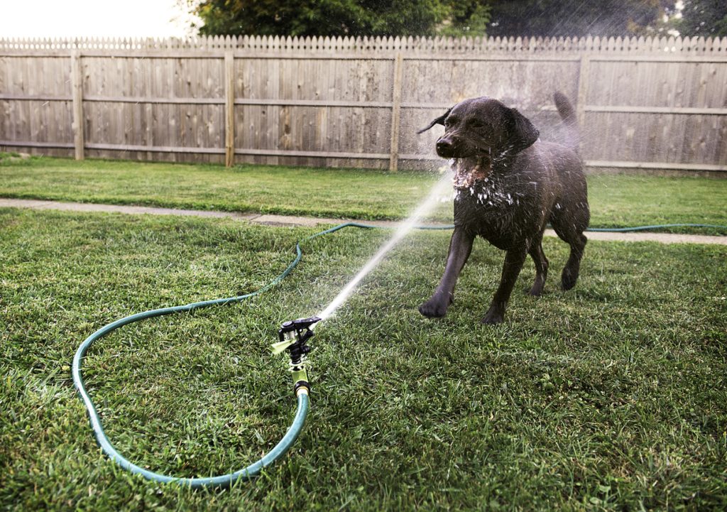 Stay hydrated!
