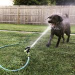 Stay hydrated!