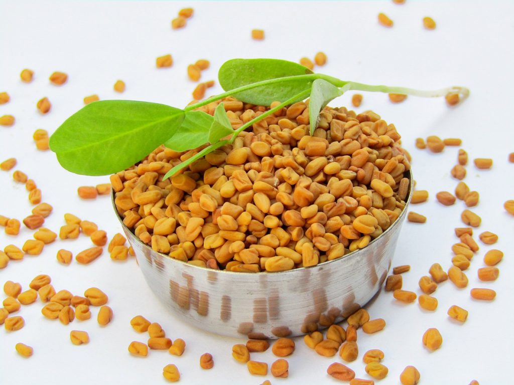 Fenugreek: What if your dog smells like maple syrup