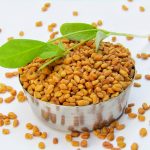 Fenugreek: What if your dog smells like maple syrup