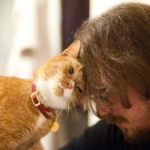 How to soothe a cat with a stress response?