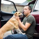 Man sitting next to car playing with dog