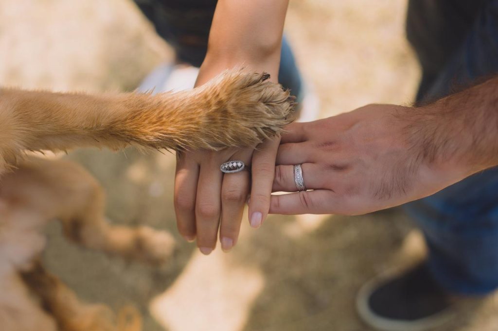 Free for two people with rings on ring fingers material picture