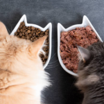 How to Choose a Healthy Cat Food Brand